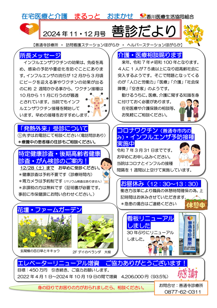 善診だより 2024 年 11・12月号